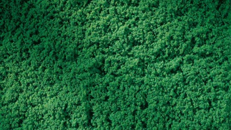 AUHAGEN 76670 Трава темно-зеленая (пена 150 × 250 мм ≈0,04 м², ~20 г), 1:35—1:220, сделано в Германии