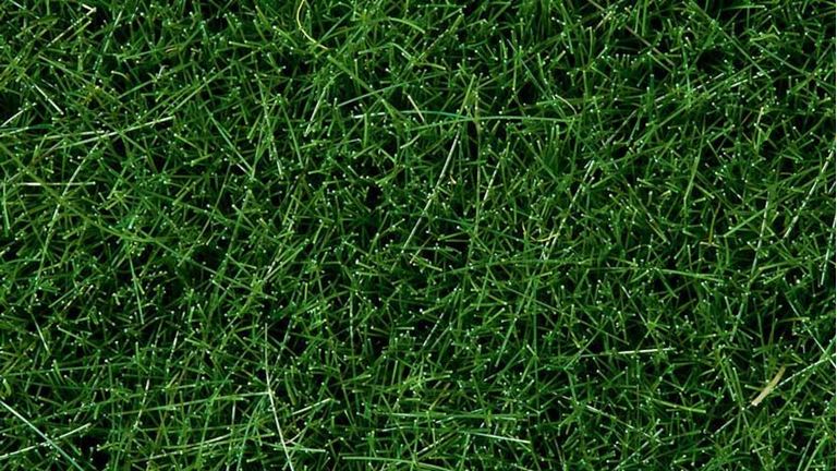 NOCH 07106 Трава темно-зеленая (флок ~6 мм ~50 г), 1:35—1:120