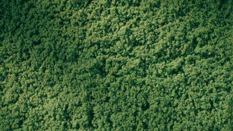 AUHAGEN 76669 Растительность зелёная (фолиаж, 150 × 250 мм ≈ 0,0375 м²), 1:10—1:250