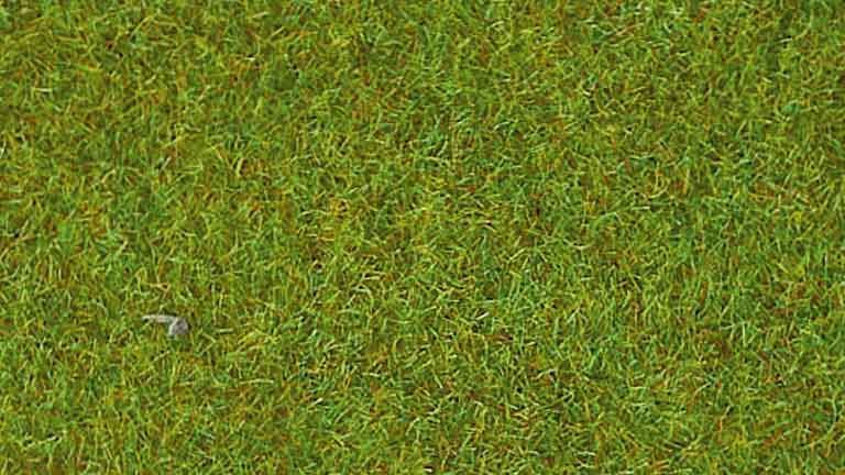 HEKI 30903 Трава светло-зелёная флок (рулон 1000 × 3000 мм ≈ 3 м²), 1:35—1:250, сделано в Германии
