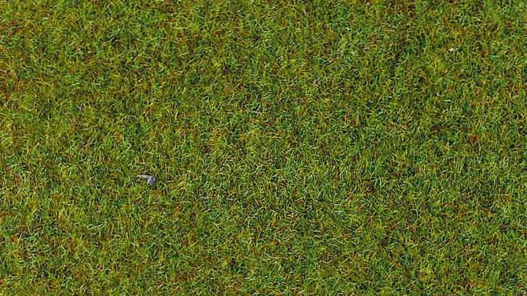HEKI 3359 Трава «Весенний луг» (флок ~2—3 мм, ~100 г), 1:10—1:250, сделано в Германии
