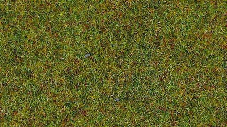 HEKI 3360 Трава «Летний луг» (флок ~2—3 мм, ~100 г), 1:10—1:250, сделано в Германии