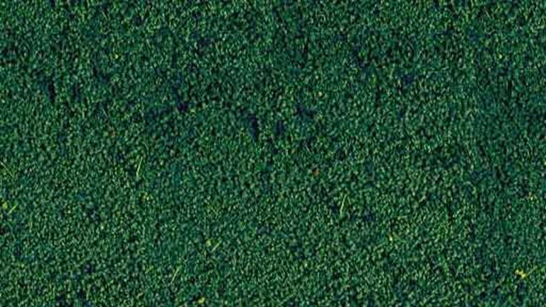 HEKI 1613 Растительность зелёная сосна (мини флокаж 200 мл), 1:35—1:1000, сделано в Германии