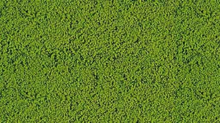 HEKI 1611 Растительность зелёная (мини флокаж ~200 мл, 20 г), 1:35—1:1000, сделано в Германии