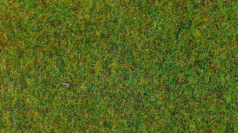 HEKI 3350 Трава «Весенний луг» (флок ~2—3 мм, ~20 г), 1:10—1:250, сделано в Германии
