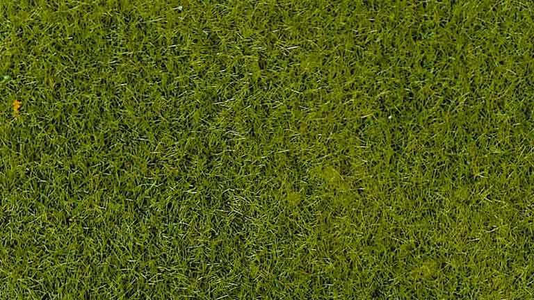 HEKI 3364 Трава светло-зеленая (флок ~2—3 мм, ~50 г), 1:35—1:250, сделано в Германии