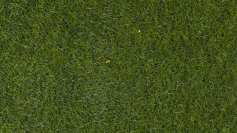 HEKI 3365 Трава зелёная (флок ~2—3 мм, ~50 г), 1:35—1:250, сделано в Германии