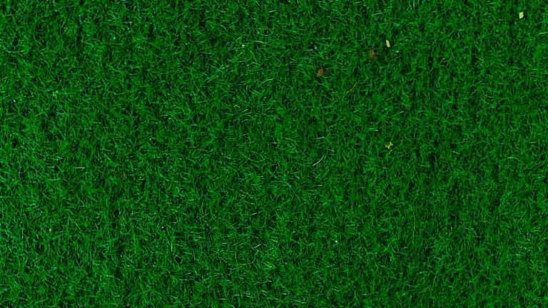 HEKI 3366 Трава тёмно-зеленая (флок ~2—3 мм, ~50 г), 1:35—1:250, сделано в Германии