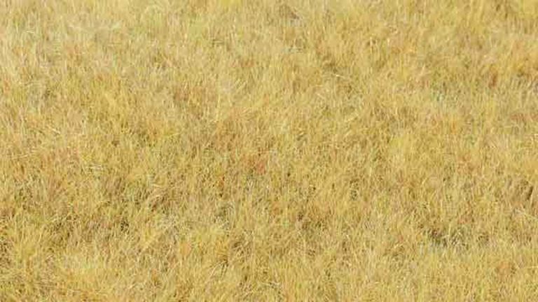 HEKI 33543 Трава осенняя степная (флок ~5—6 мм, ~75 г), 1:35—1:250, сделано в Германии