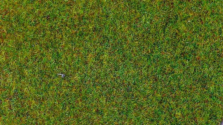 HEKI 3350x50 Трава «Весенний луг» (флок ~2—3 мм, ~1000 г), 1:10—1:250, сделано в Германии