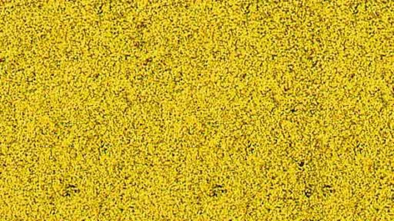 HEKI 1589 Желтые цветы (пена ~280 × 140 мм), 1:35—1:250, сделано в Германии