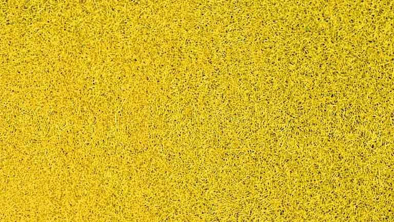 HEKI 3353 Пшеничное поле, трава жёлтая, (флок 2,5 мм, ~20 г), 1:10—1:250, сделано в Германии