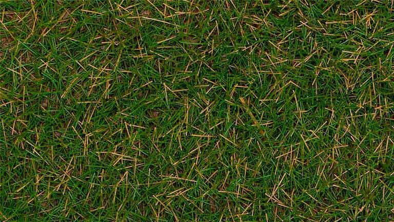 FALLER 170257 Трава зелёная (флок ~4 мм, ~1000 г), 1:35—1:250, сделано в Германии